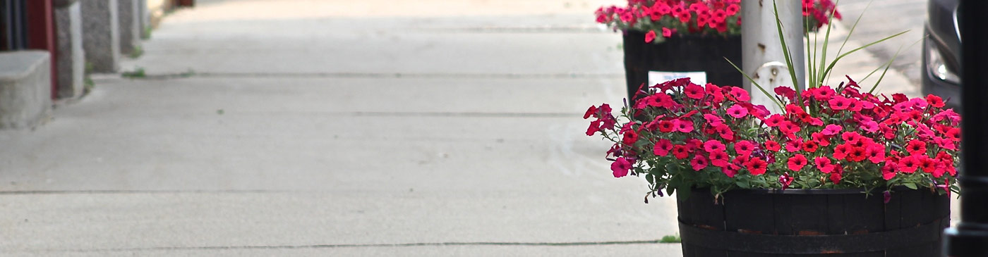 flower display in Todd County, MN