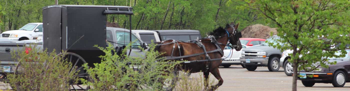horse and buggy